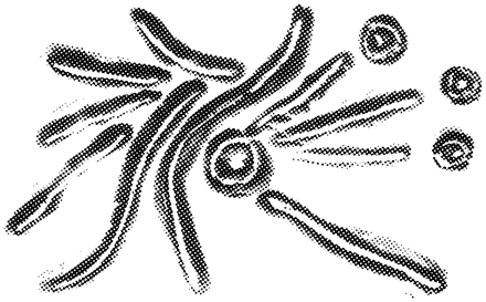 JINGRANG のロゴマーク